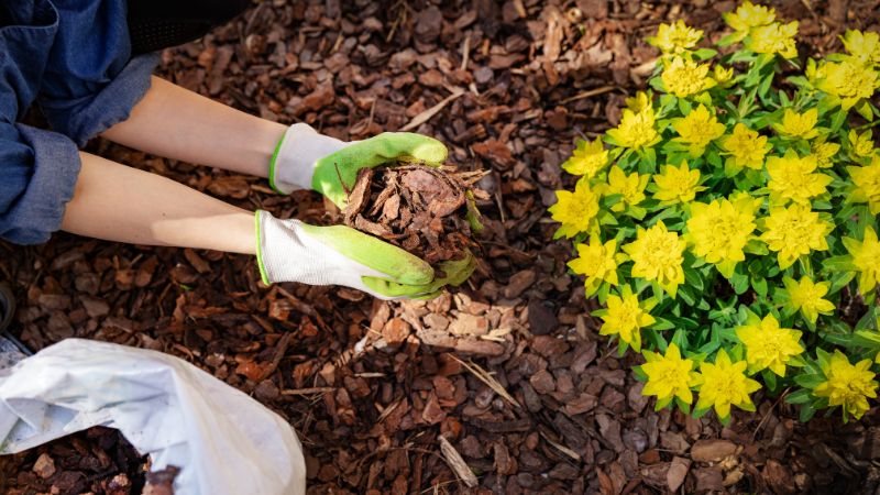 How Can You Create Your Own Mulch