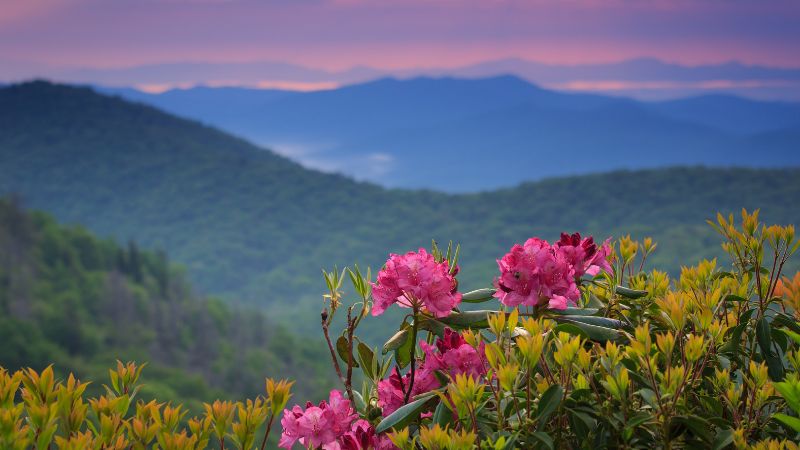 10 Affordable Towns to Retire in the Blue Ridge Mountains