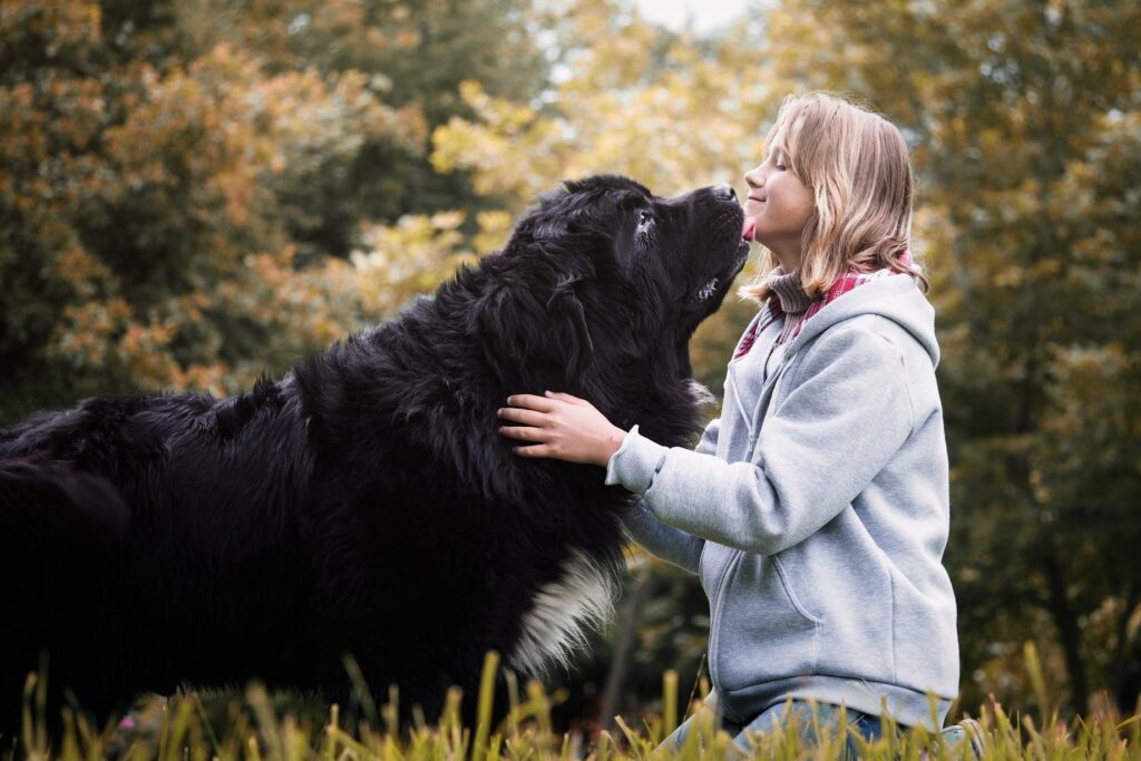 8 Large Dog Breeds Which Make Great Pets