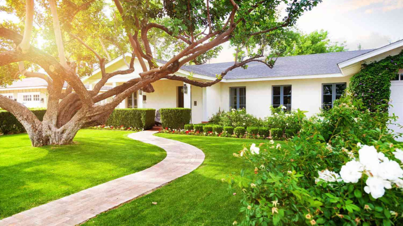 8 Sidewalk Landscaping Ideas for Your Front Yard