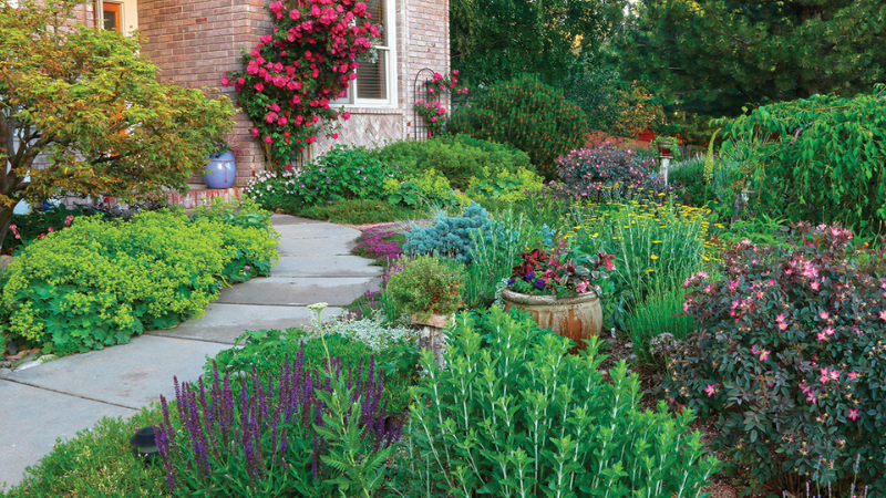 9 Xeriscape Plants for the Water-Wise Garden