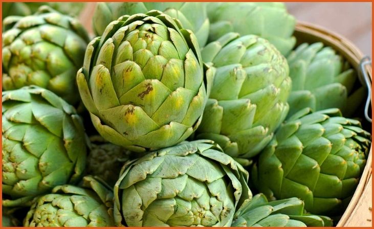 Artichokes