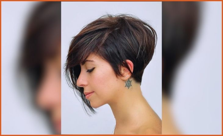 Asymmetrical Pixie Bob