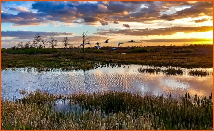 Everglades, Florida
