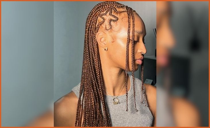 Fulani Braids with Zigzag Parts