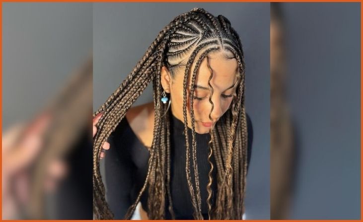 Half-Up Half-Down Fulani Braids