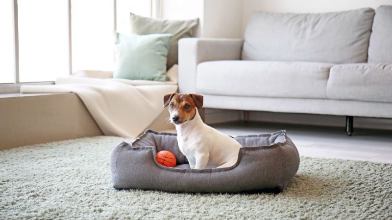 How to Make a Pet Bed Slipcover From a Flat-Weave Rug