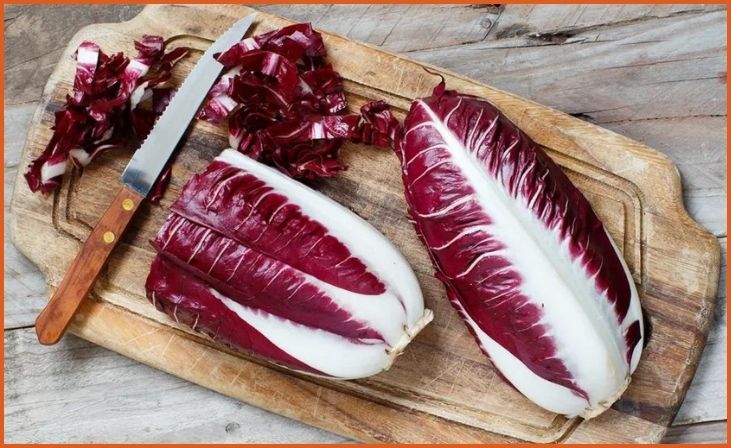 Radicchio