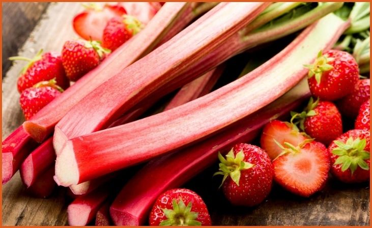 Rhubarb