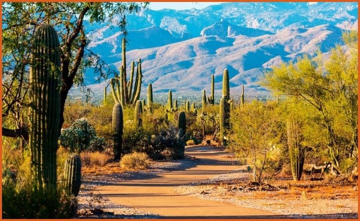 Saguaro National Park and Biosphere 2