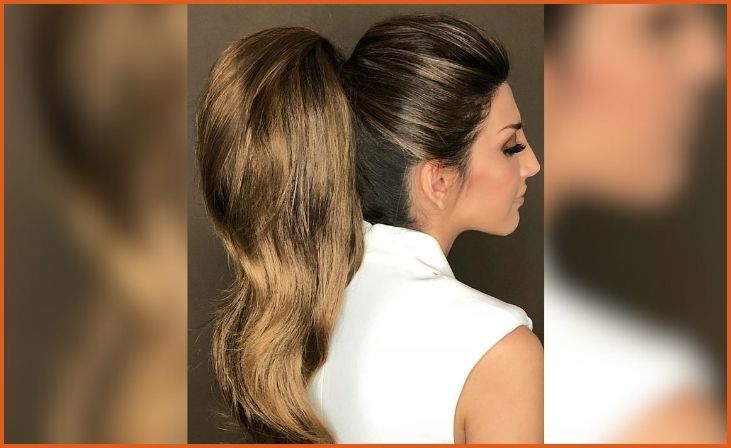 Sleek Ponytail with Volume