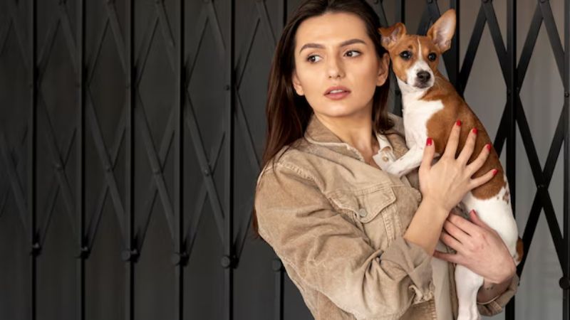 Top 9 Illegal Pets in the United States