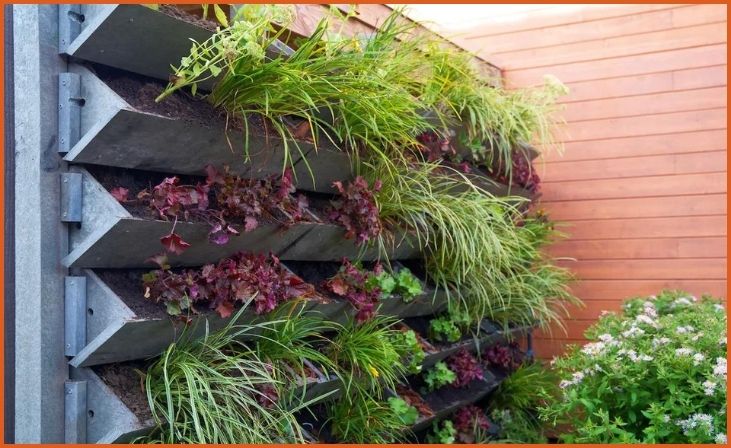 Vertical Gardens